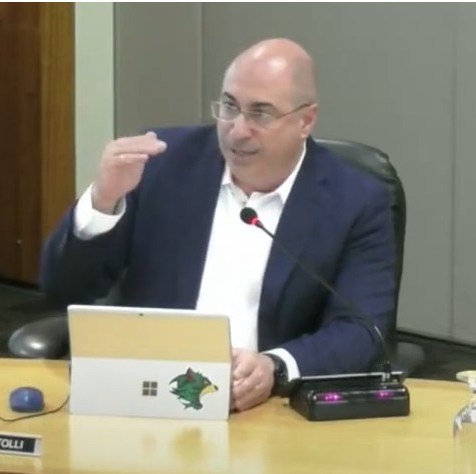 Contributing at Kingborough Council chamber